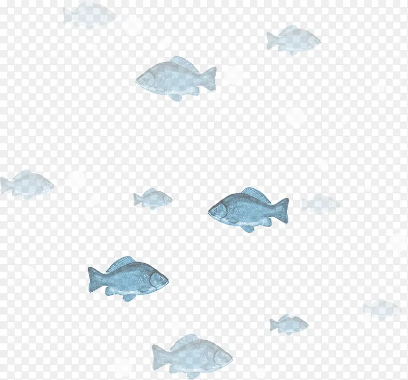 世界海洋日海中小鱼