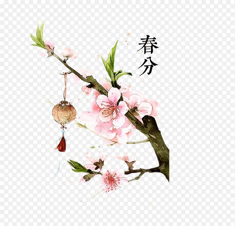 一树桃花之春分节气