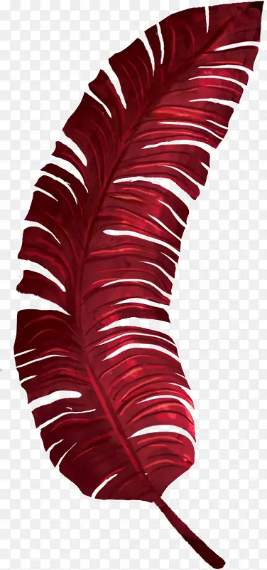 红色热带植物叶子