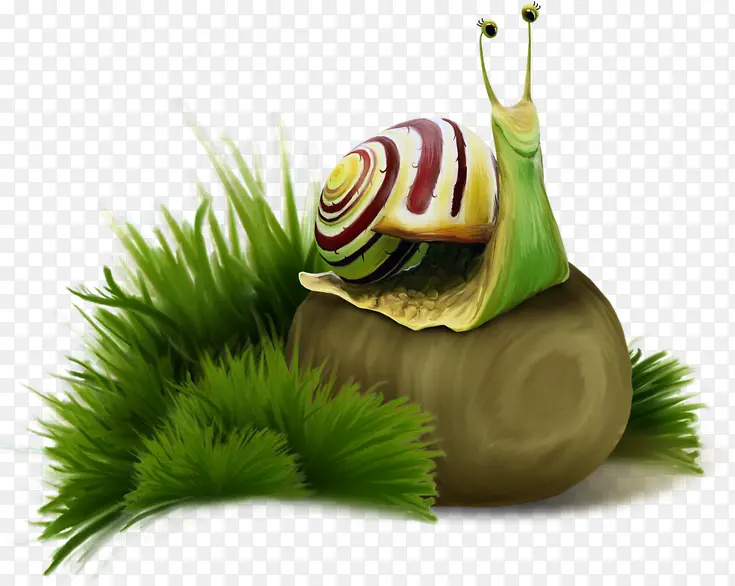 草丛里的蜗牛