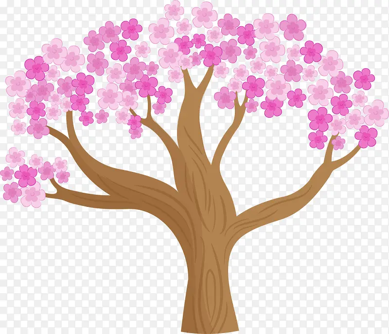 茂盛的樱花树