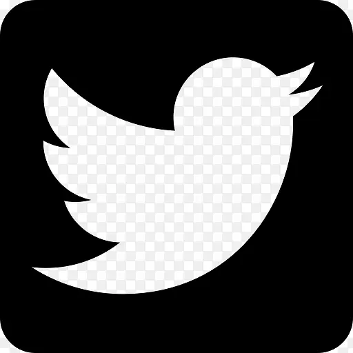 鸟标志社会社交媒体广场鸣叫推特