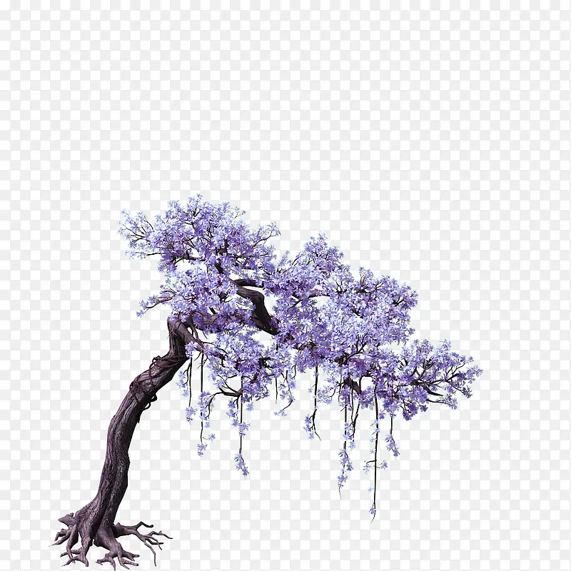紫色花朵的树木