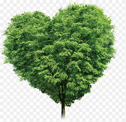 绿色爱心造型大树