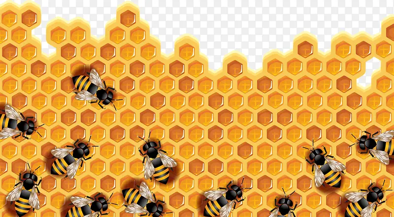 蜜蜂和蜂浆