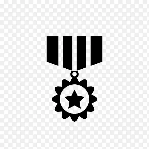 星级纪念章 icon