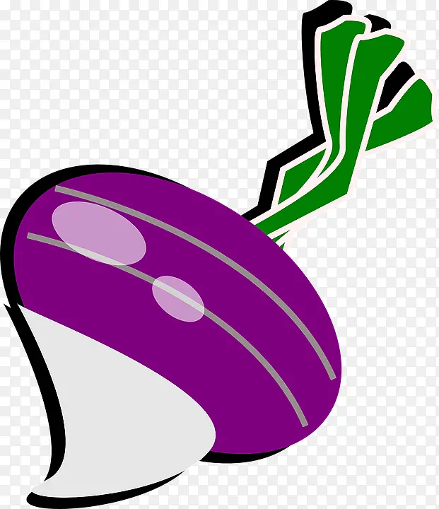 蔬菜类别紫色萝卜青草