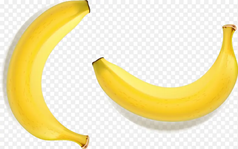 矢量香蕉3