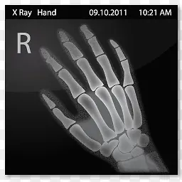 Documents X Ray Hand Icon