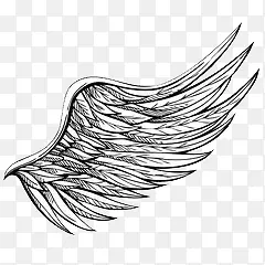 灰色翅膀