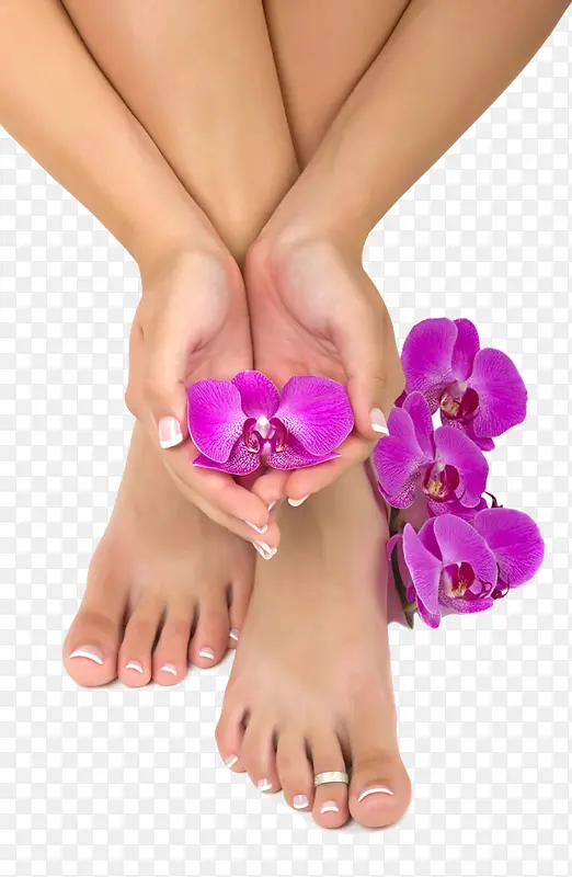 紫色的花和手脚