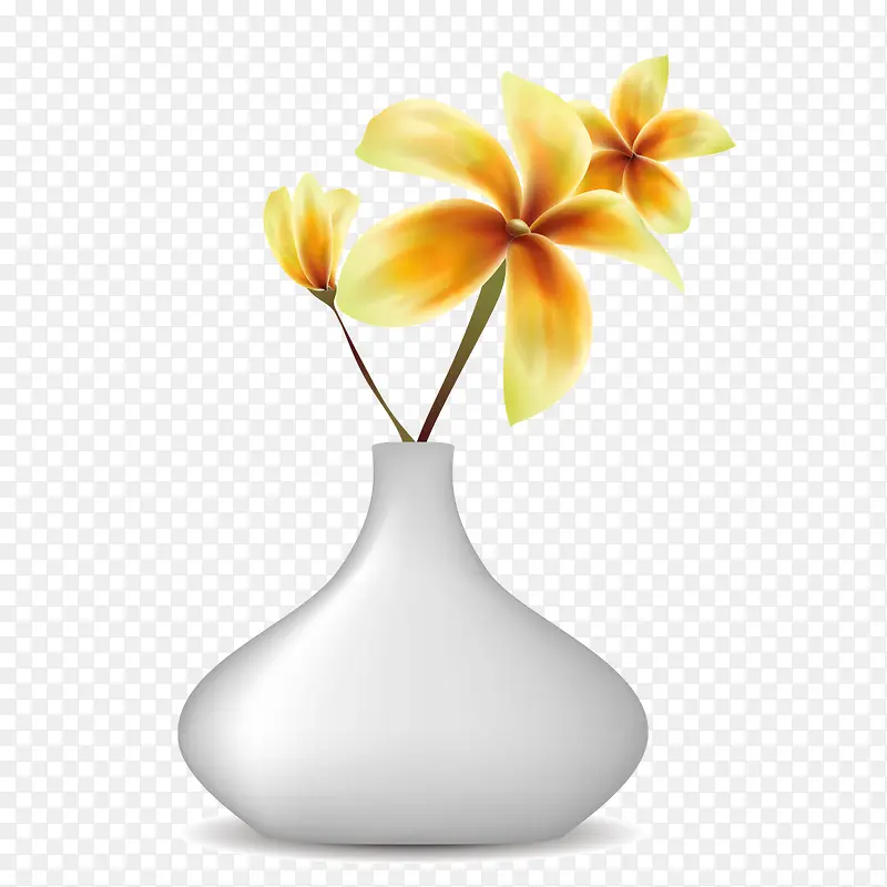 花瓶里的黄花