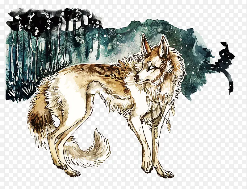 矢量水彩手绘动物狼