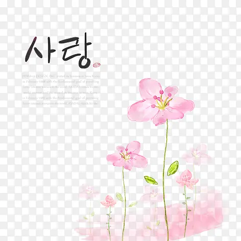 韩国手绘花朵