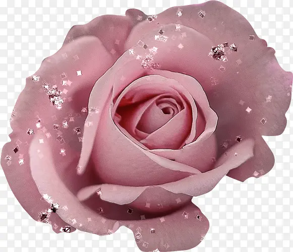 玫瑰花朵布艺免抠素材