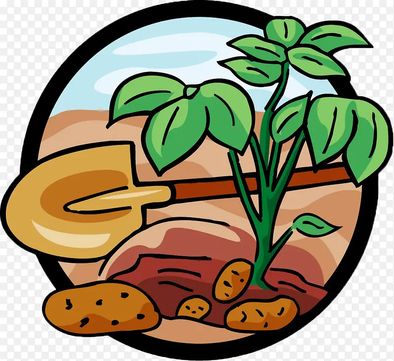 铁锹挖土豆