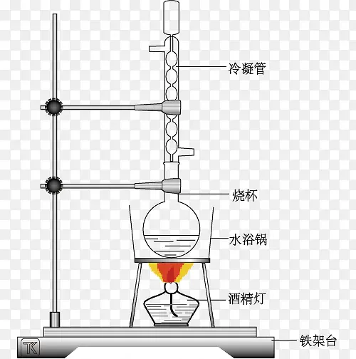 提取胡萝卜素