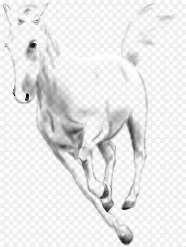 手绘白马动物奔跑