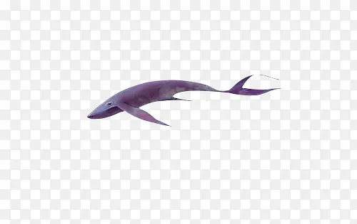 深海鱼类遨游鲸鱼