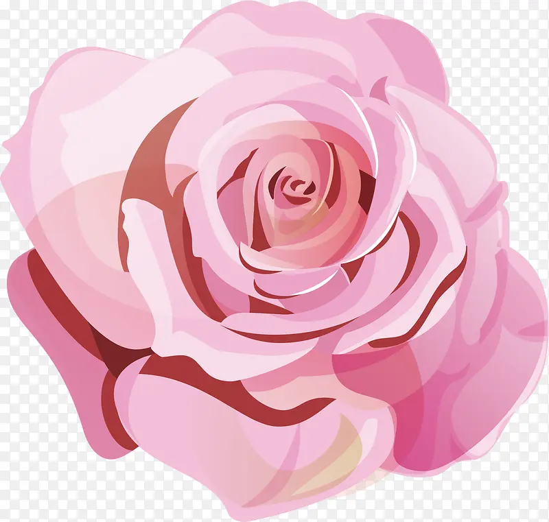 矢量图美丽的粉红色大花朵