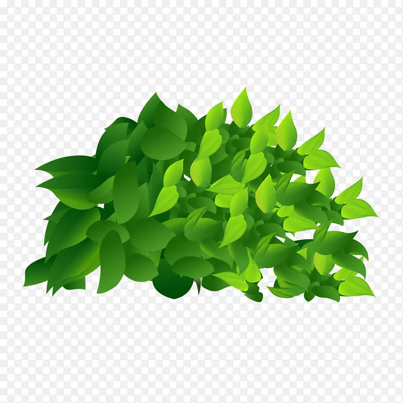 绿色一簇树叶PNG图片素材下载_图片编号ygwgpxey-免抠素材网