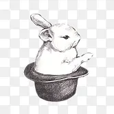 魔术小白兔