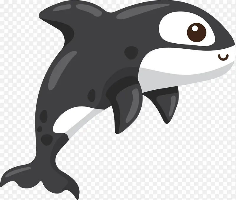 世界海洋日黑色虎鲸