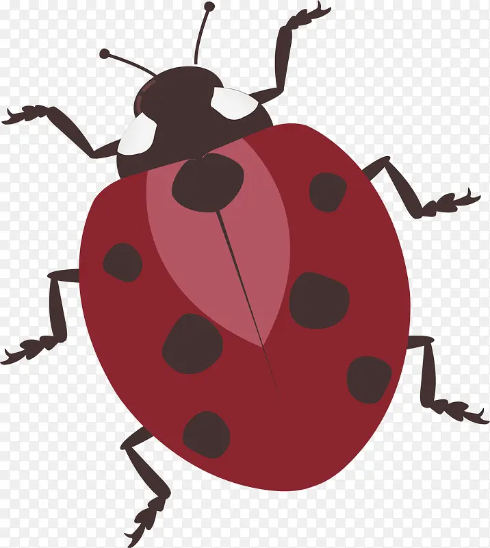 红色甲虫矢量图