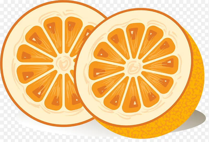 成熟的矢量橘色水果