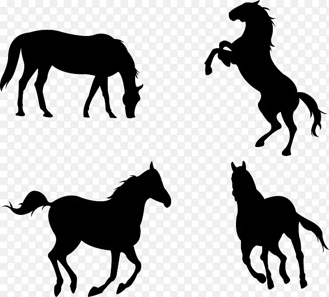 各种形态的马