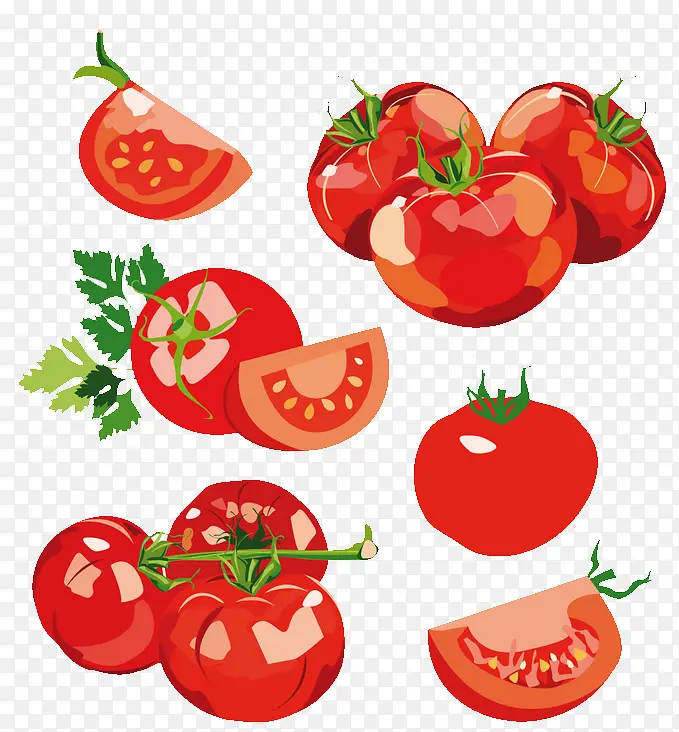 写实西红柿