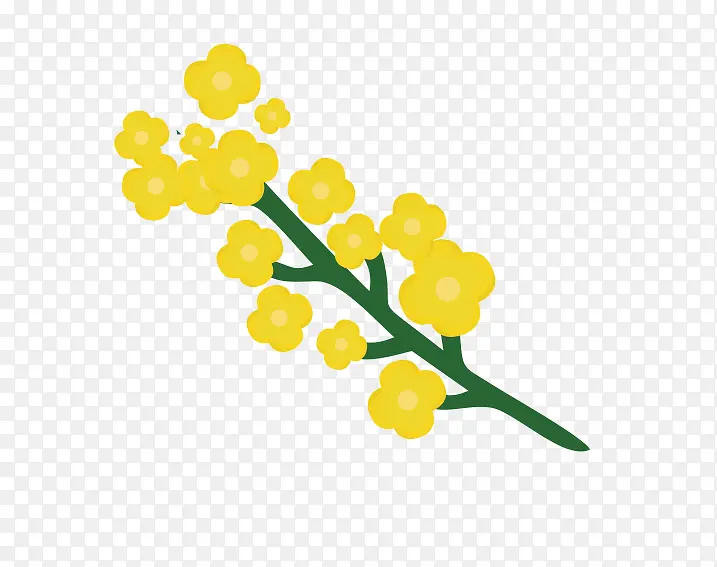 手绘可爱插图黄色清新油菜花