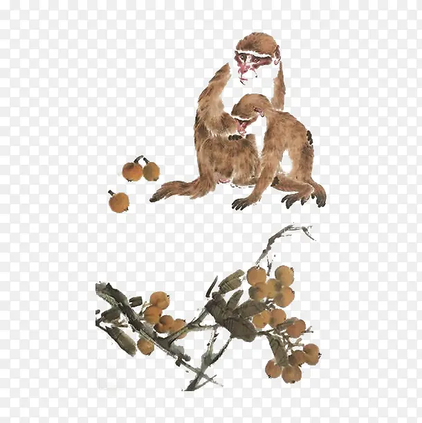 中国风水墨棕色猴子和水果插图免