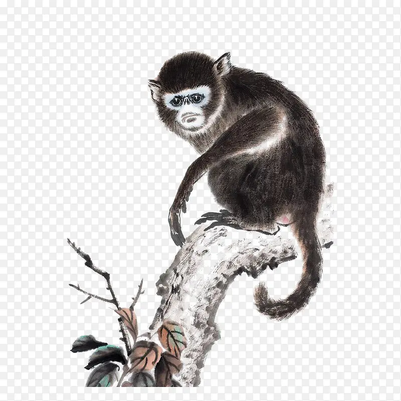 中国风水墨猴子站在树干上插画免