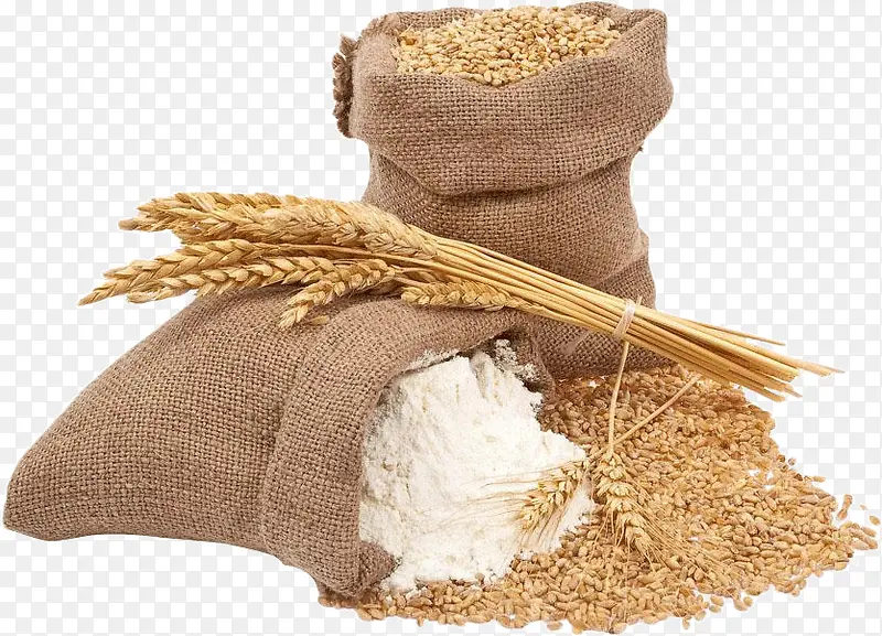 小麦稻谷高清免抠素材图片背景