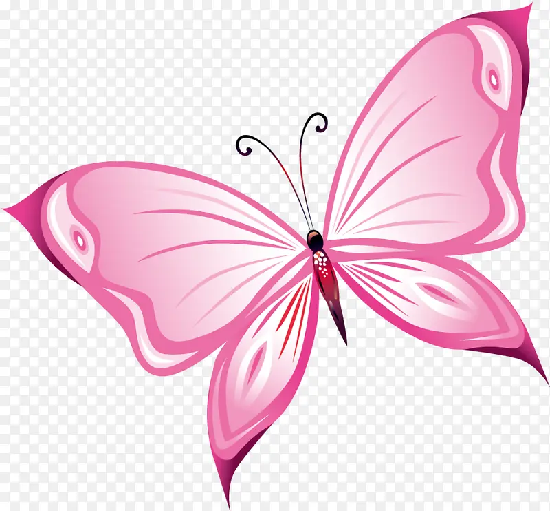 手绘粉色蝴蝶