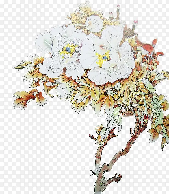 中国画木芙蓉花免扣矢量图元素