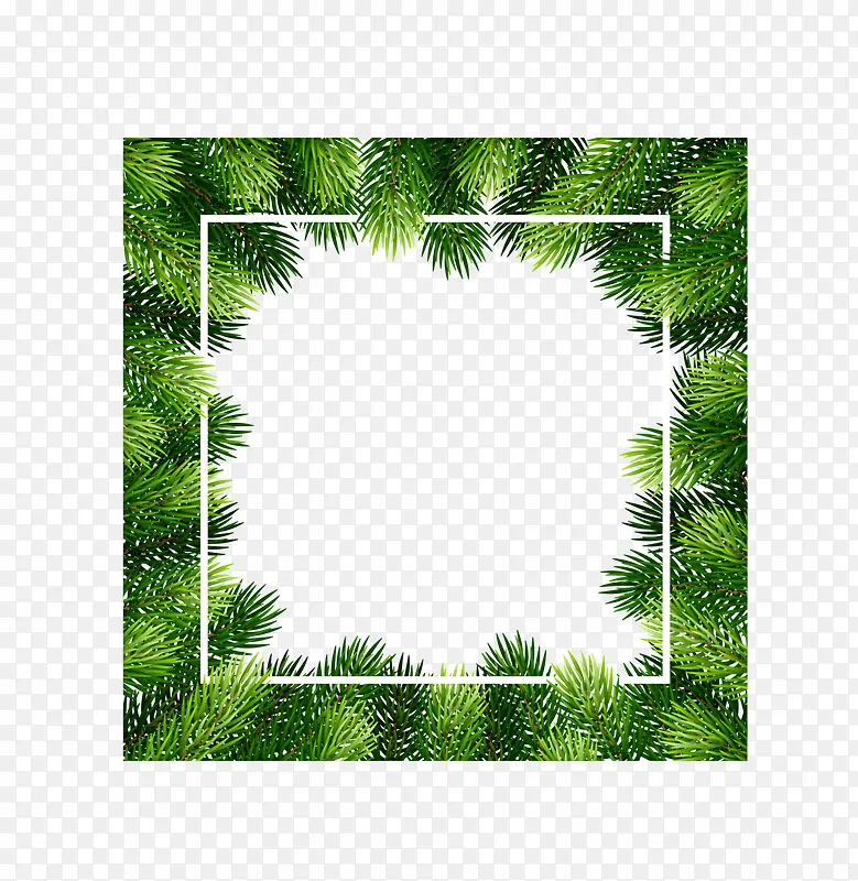 绿色圣诞节松枝框架