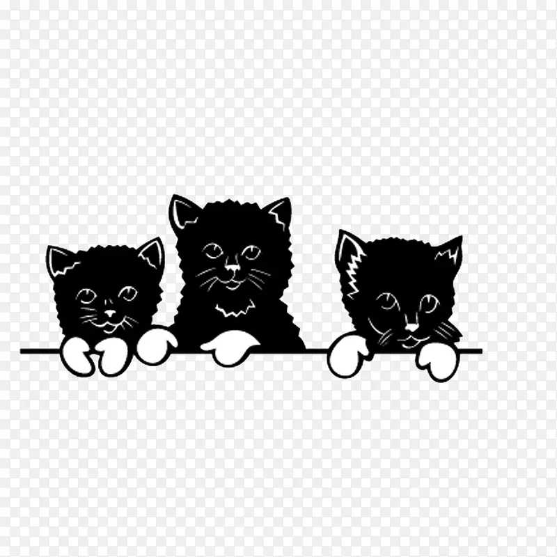 三只可爱小猫