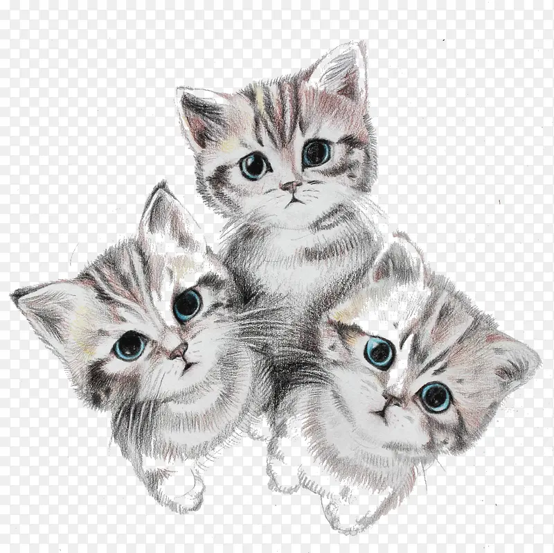 手绘可爱三只小猫咪