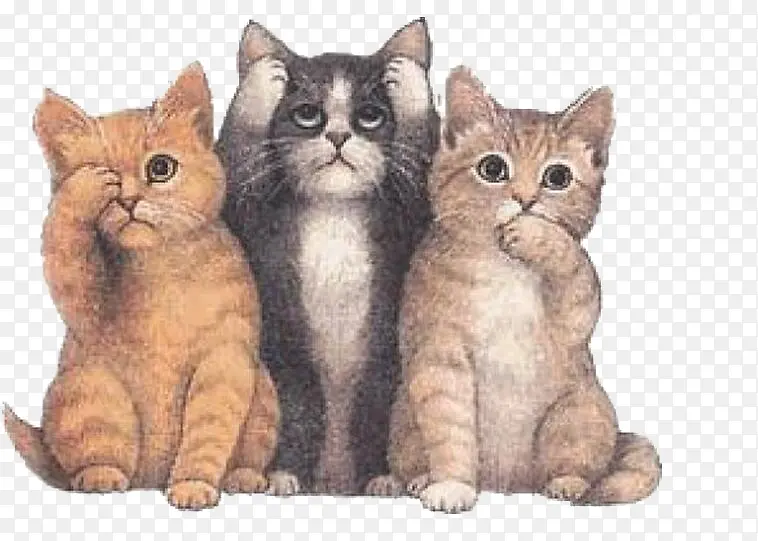 三只小猫