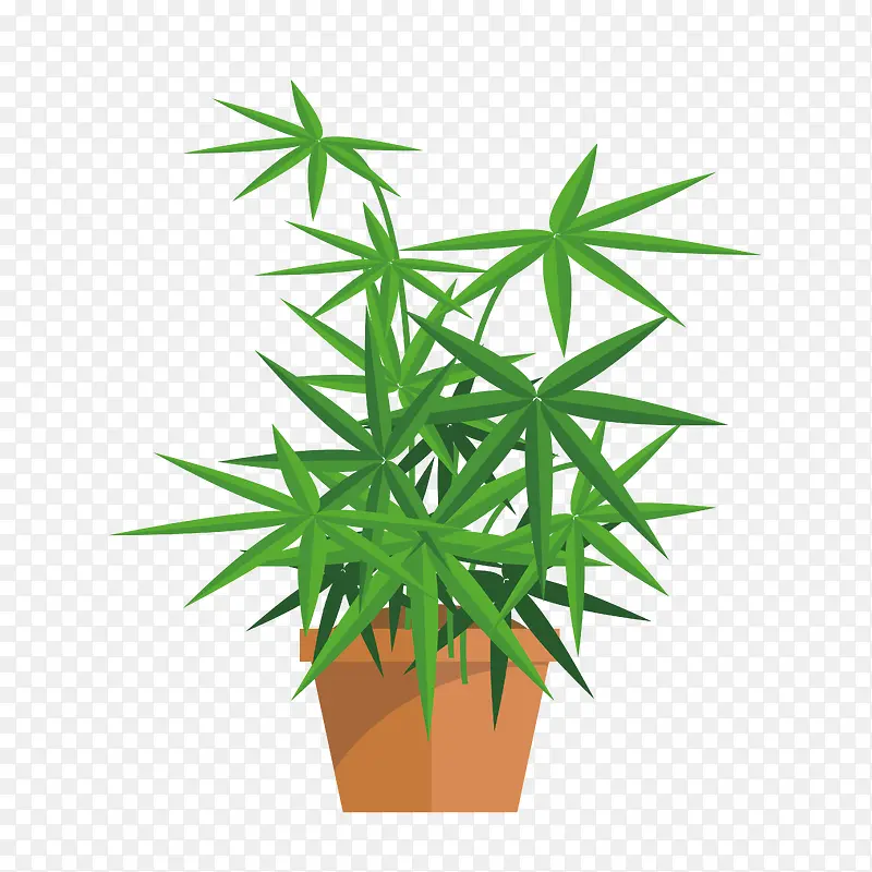 小清新绿色盆栽植物