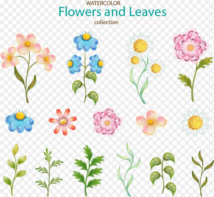 15款水彩绘花卉和叶子