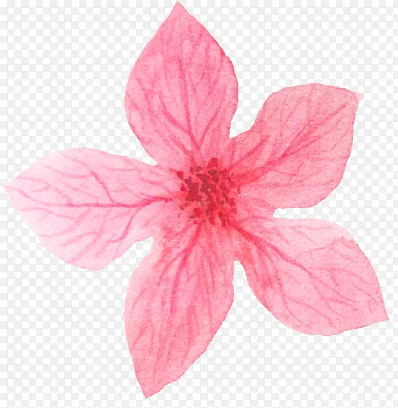 粉红色清晰纹理花朵