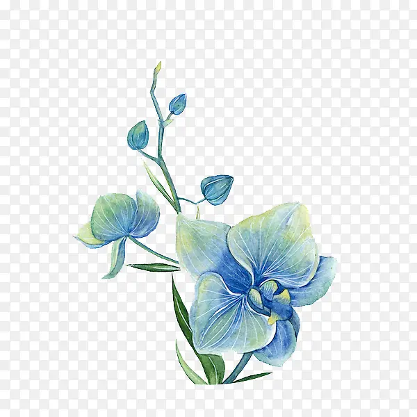 创意水彩手绘花朵