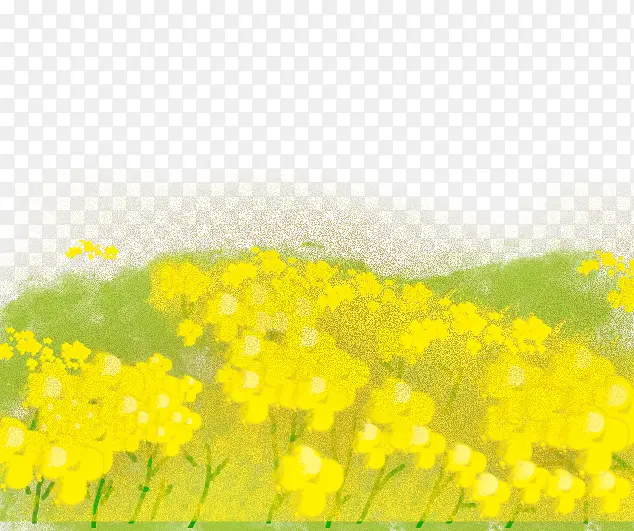 免抠卡通手绘黄色油菜花