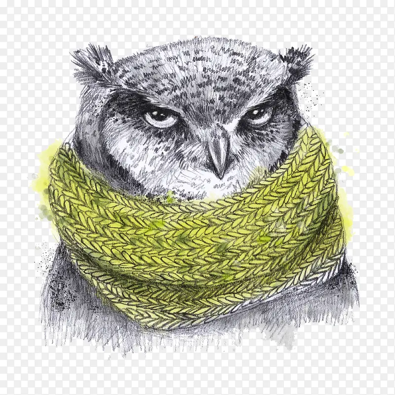 系着围脖的猫头鹰绘画
