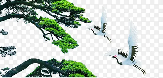 苍松仙境鹤群