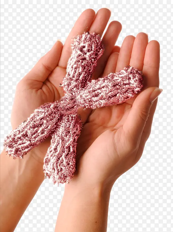 染色体编织品