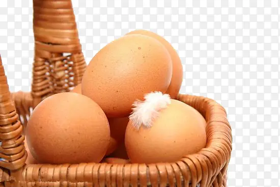 鸡蛋设计素材